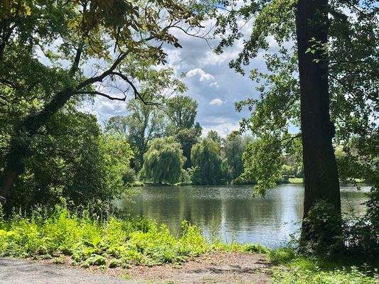 Schaefersee fußläufig entfernt
