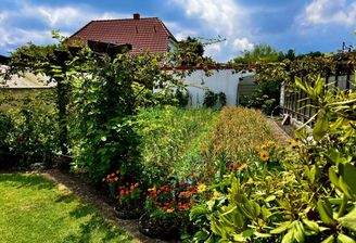Obstgarten mit Gewächshaus