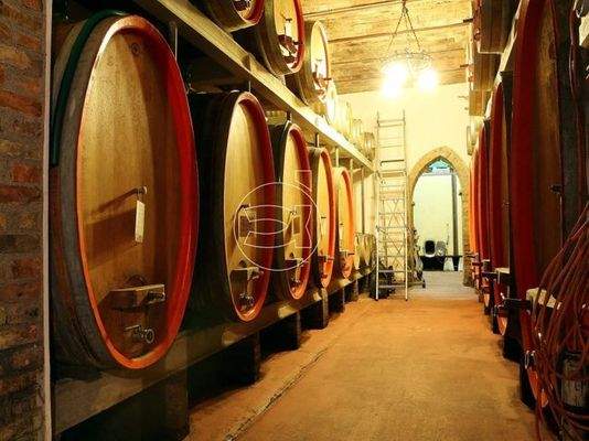 Premium Anwesen | Chianciano Terme