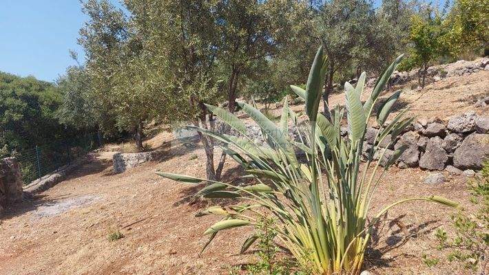 Villa 5 Wohn Einh Syvota (13)