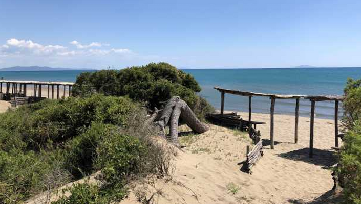 Screenshot 2025-04-28 095112.png