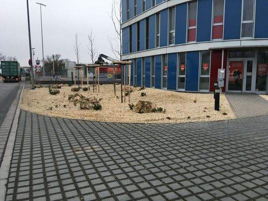 BT-Eingangsbereich2 mit neuer Pflanzung.JPG