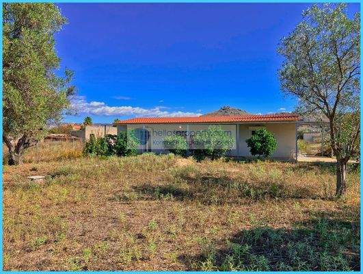 d64930c3185748b0adde0244f8acaf58-original