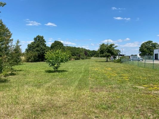 Blick aus Richtung der Roßlauer Straße .jpeg