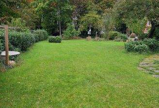 Blick in den Garten.jpg