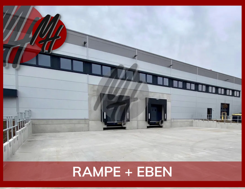 Eschborn Halle, Eschborn Hallenfläche