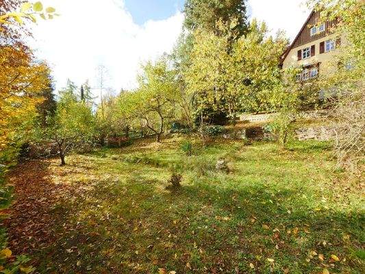  GARTEN ist grundsätzlich pflegeleicht