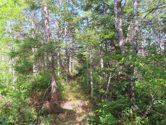 Cape Breton - Neu-Erschließung mit 7 Lots - 23 Hek