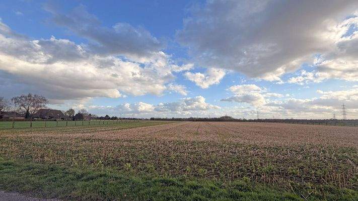 Landwirtschaftsfläche