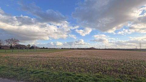 Hamminkeln Bauernhöfe, Landwirtschaft, Hamminkeln Forstwirtschaft
