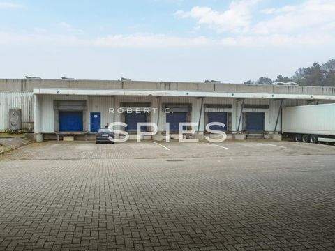 Uplengen Halle, Uplengen Hallenfläche