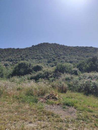 BUDONI - SARDINIEN Grundstücke, BUDONI - SARDINIEN Grundstück kaufen