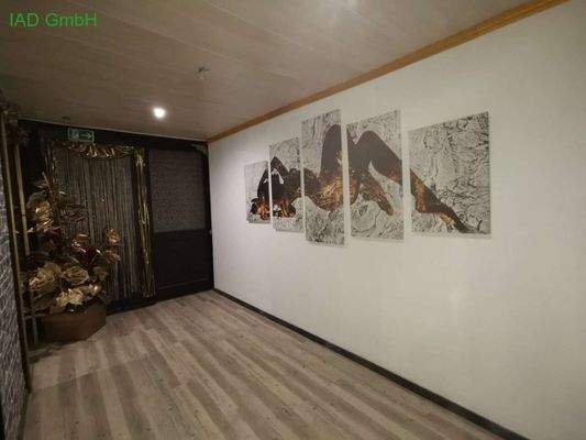 Neue Eingangstür, Decke und Fu