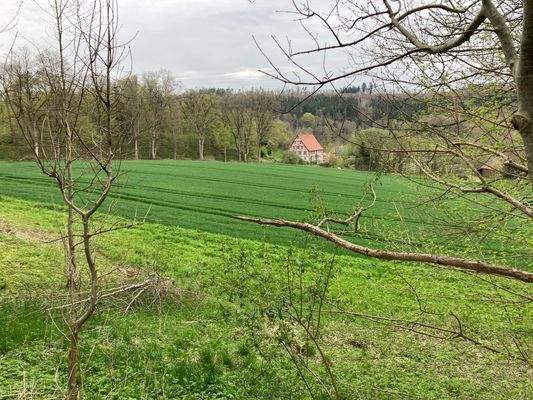 Mit der Natur verbunden