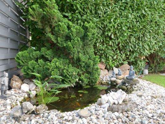 Gartenteich 