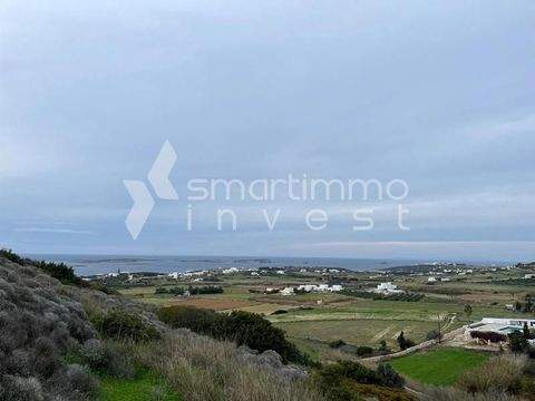 Glysidia, Paros Bauernhöfe, Landwirtschaft, Glysidia, Paros Forstwirtschaft