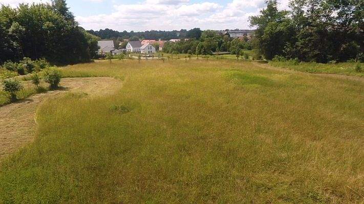 Blick zum ersten Bauabschnitt (alles verkauft)