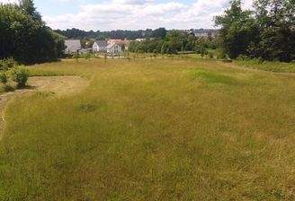 Blick zum ersten Bauabschnitt (alles verkauft)