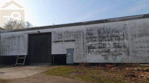 Sassenburg Halle, Sassenburg Hallenfläche