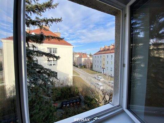 Aussicht Richtung Roter Berg