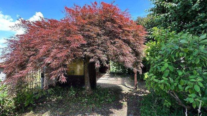 Blick zur Terrasse mit Kamin