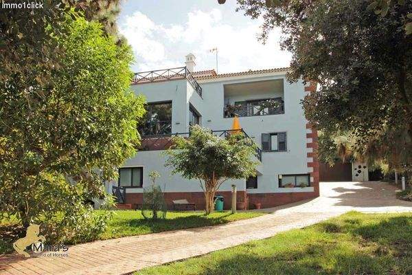 haus mit pferdestall und gästezimmer teneriffa zu verkaufen