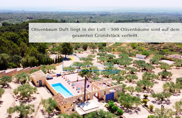 Casa Azul mit gemeinschaftlicher La Terazza