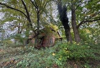 Haus im Grünen.jpeg