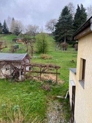 Blick von der Küche in den Garten