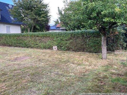 Garten - zukünftiges hinteres Grundstück