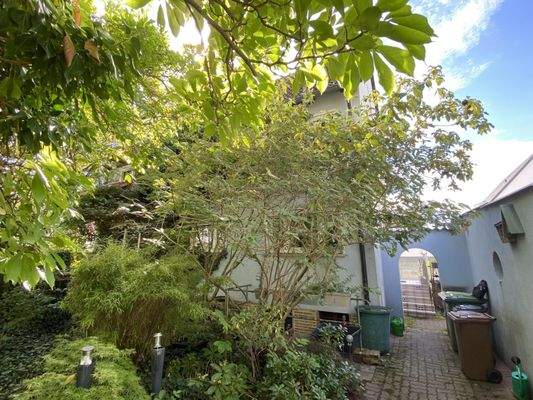 rückwärtige Ansicht mit Kellerabgang und Garage