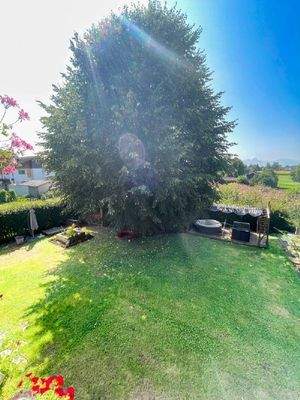 Garten_Blick vom Balkon