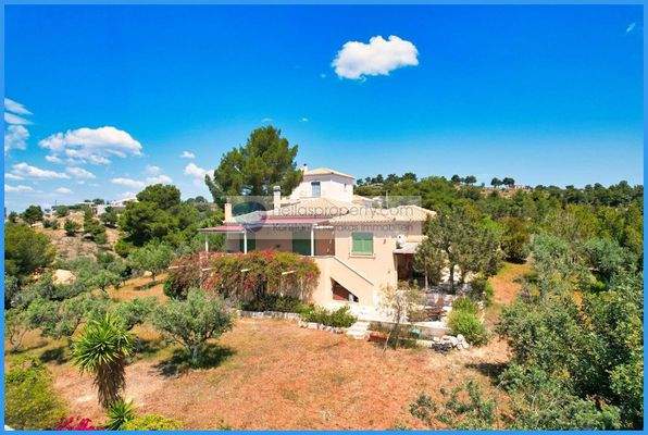 42c04beff4ae4bbbbaac985308ec2fe0-original