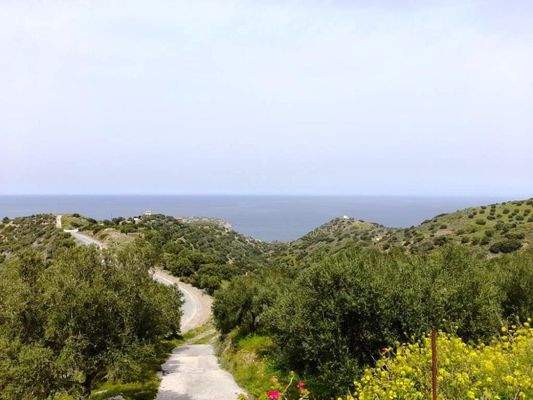 Kreta, Mochlos: Steinhaus mit Meerblick zu verkaufen