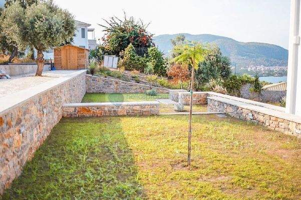 7c7d736d8d0749b0bab6e6fe3662ccfa-original