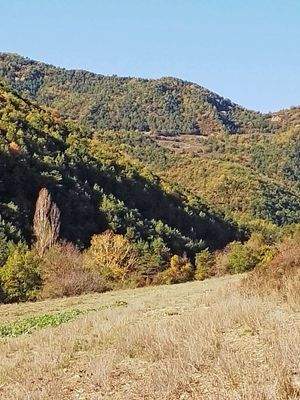 Imagen de WhatsApp 2025-06-20 a las 20.57.47_d9909