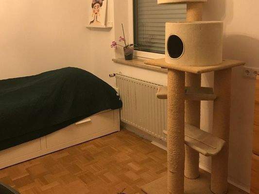 PHOTO-2025-10-02-07-17-13 3.JPG