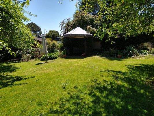 Eingewachsener Garten