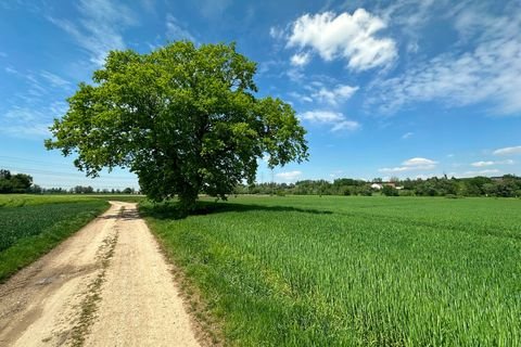 Bergkirchen Bauernhöfe, Landwirtschaft, Bergkirchen Forstwirtschaft