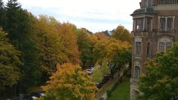 W3413AuslickHerbst1017