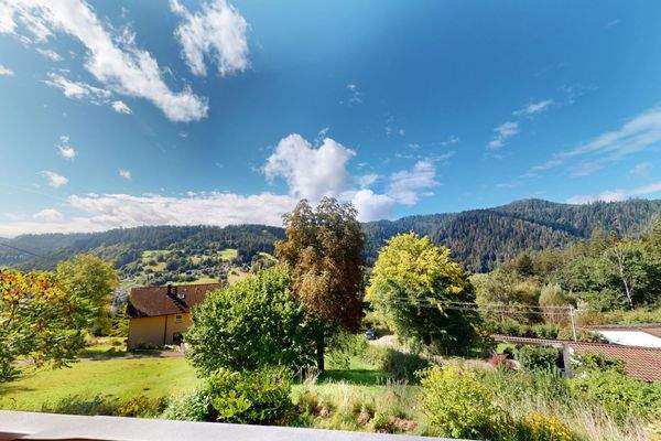 Toller Schwarzwaldblick vom Balkon des EG