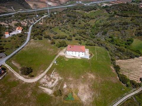 Longroiva Häuser, Longroiva Haus kaufen