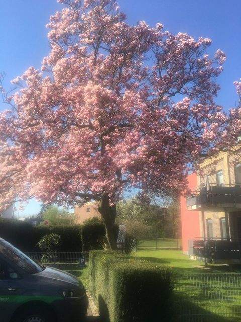 Kaarst Wohnungen, Kaarst Wohnung kaufen