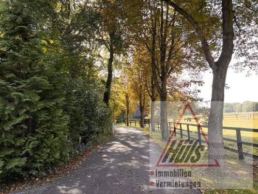 Zufahrt zum Reitbetrieb