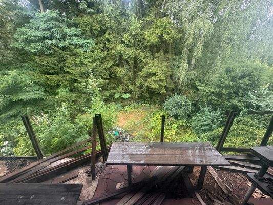 Blick in den Garten vom Balkon