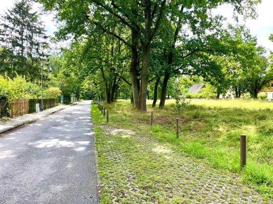 Straße mit Grünstreifen