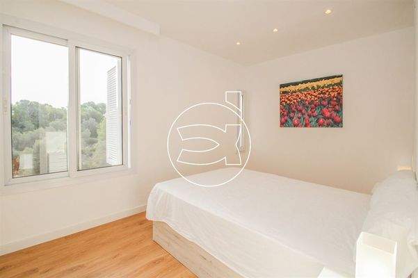 Hervorragendes Objekt