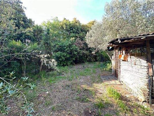 Olivenhain Massa Marittima