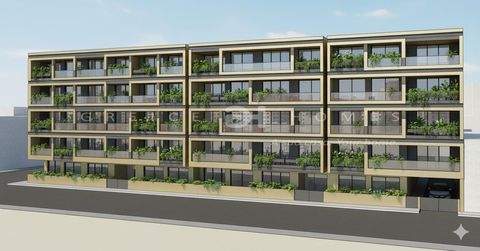 Olhão Bauernhöfe, Landwirtschaft, Olhão Forstwirtschaft