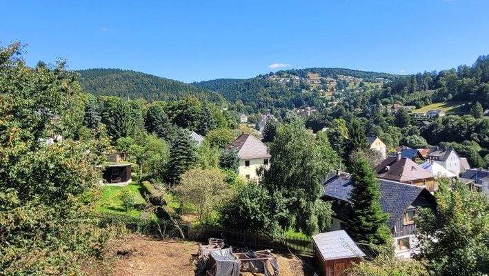 20250825_120619_resized